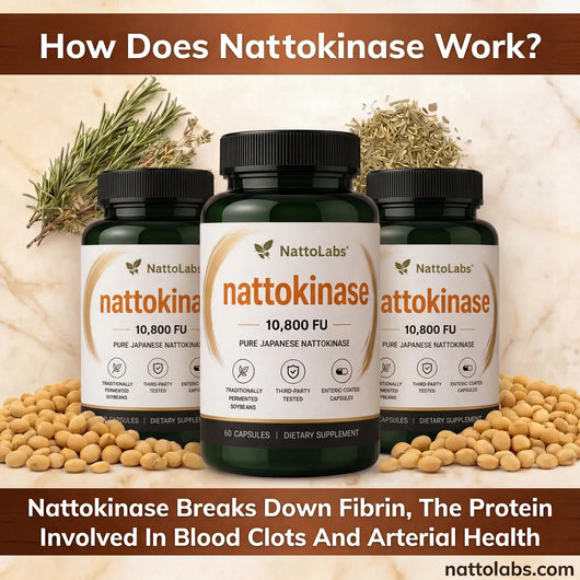 NattoLabs Pure Nattokinase 10,800 FU