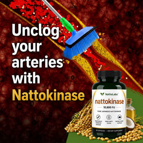NattoLabs Pure Nattokinase 10,800 FU