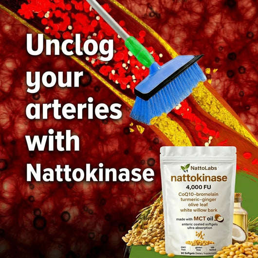 NattoLabs Pure Nattokinase 4,000 FU