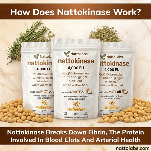 NattoLabs Pure Nattokinase 4,000 FU